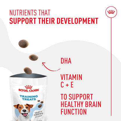 Royal Canin Dog Treats for Training - 110g