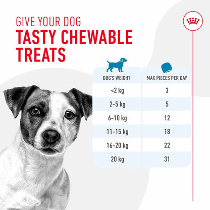 Royal Canin Dog Treats for Training - 110g