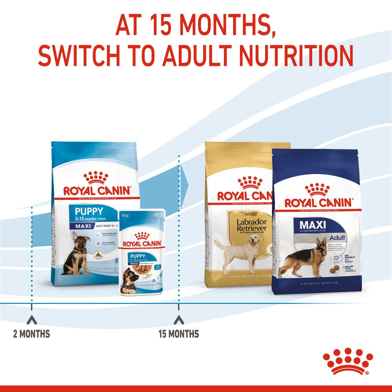 Royal Canin Size Health Nutrition Maxi Puppy Dry Dog Food