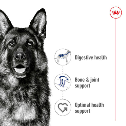 Royal Canin Size Health Nutrition Maxi Adult Dry Dog Food