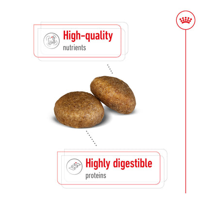 Royal Canin Size Health Nutrition Maxi Adult Dry Dog Food