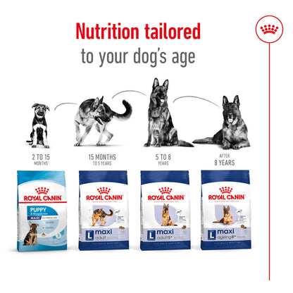 Royal Canin Size Health Nutrition Maxi Adult Dry Dog Food