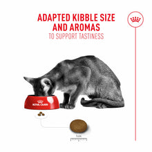 Royal Canin Fussy Adult Dry Cat Food