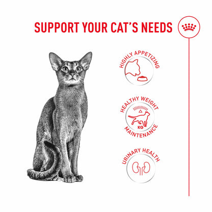 Royal Canin Fussy Adult Dry Cat Food