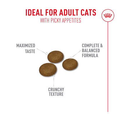 Royal Canin Fussy Adult Dry Cat Food