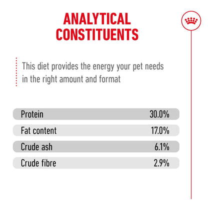 Royal Canin Ageing 11+ Senior Dry Cat Food