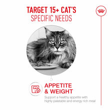 Royal Canin Ageing 15+ Senior Dry Cat Food