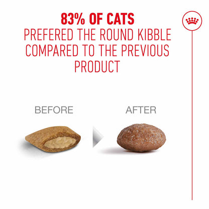 Royal Canin Ageing 15+ Senior Dry Cat Food