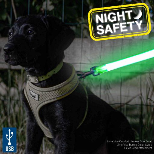 Ancol Hi-Vis Flashing Dog Lead Attachment