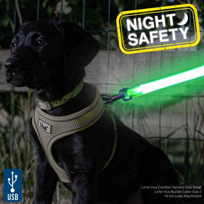 Ancol Hi-Vis Flashing Dog Lead Attachment