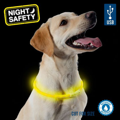 Ancol USB Rechargeable Flashing Dog Collar - Adjustable up to 70cm