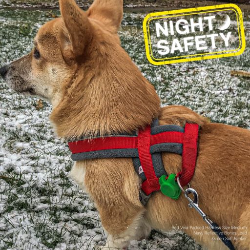 Ancol Soft blinker for Dog Collars or Dog Harnesses