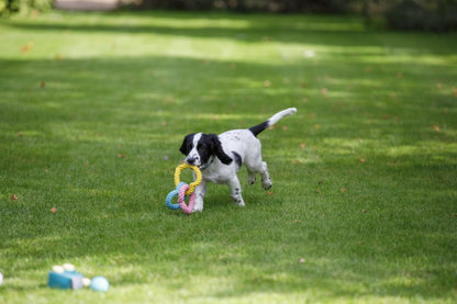 Little Petface Dog Toy - Rope Hearts