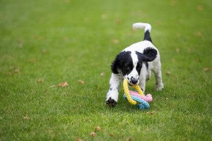 Little Petface Dog Toy - Rope Hearts