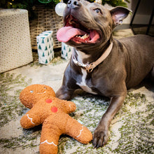 Rosewood Tufflove Gingerbread Dog Toy