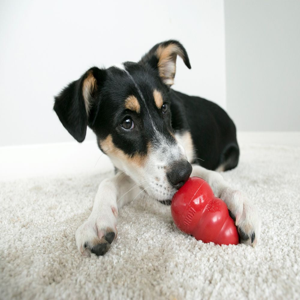 KONG Classic Dog Toy