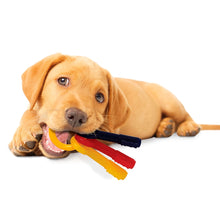Nylabone Bacon Puppy Keys Chew - Small