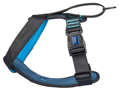 Car Crash Tested Dog Harness