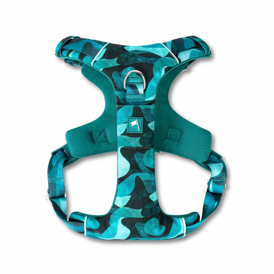 Twiggy Tags Lagoon Adventure 2.0 Dog Harness