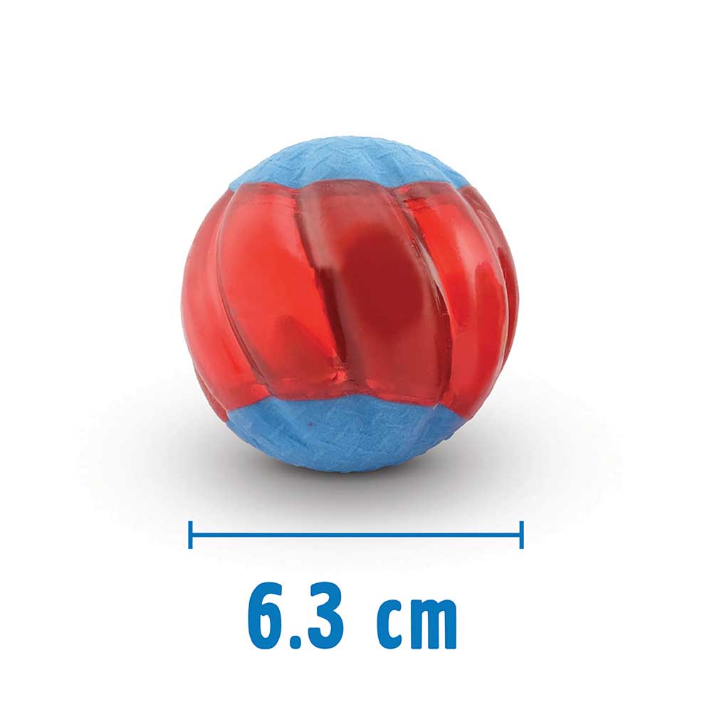 Zeus DUO Ball Dog Toy with Squeaker - Large - 2 Pack