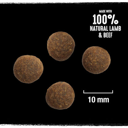 CRAVE Adult Dry Dog Food - Lamb & Beef