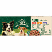 James Wellbeloved Adult Wet Dog Food in Loaf - Turkey, Lamb and Chicken - 12x400g cans