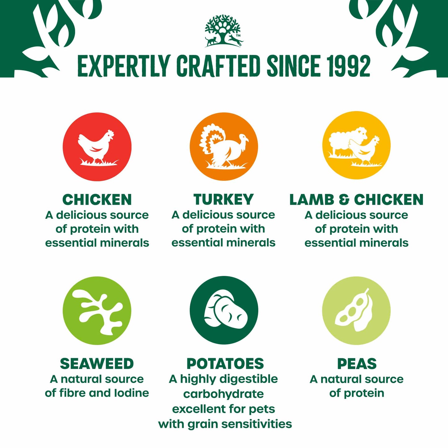 James Wellbeloved Grain Free Adult Wet Dog Food - Turkey, Lamb and Chicken in Loaf - 12x400g cans