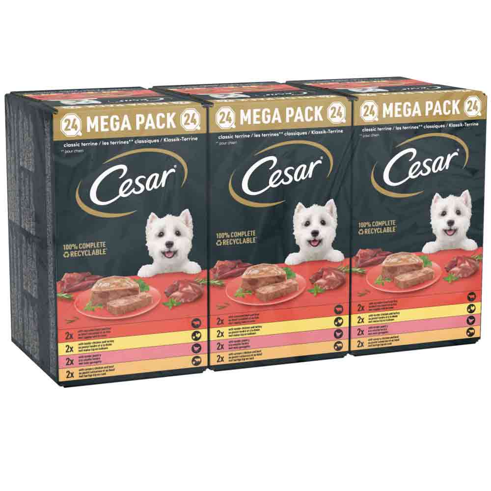 CESAR Classics Terrine Mixed Selection Trays - 24x150g Trays