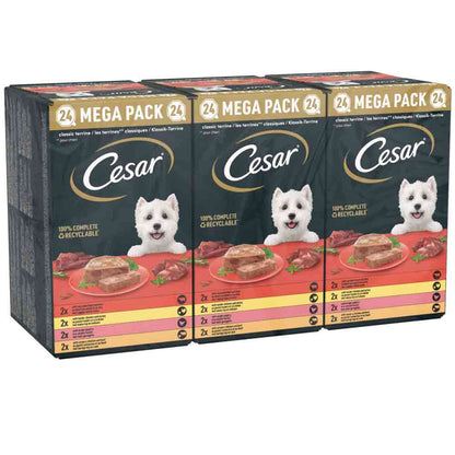 CESAR Classics Terrine Mixed Selection Trays - 24x150g Trays