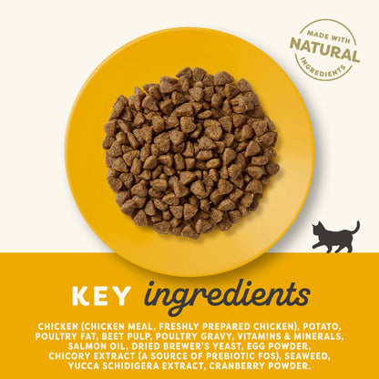 Applaws Complete Kitten Grain Free Dry Cat Food - Chicken