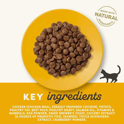 Applaws Complete Grain Free Adult Dry Cat Food - Chicken