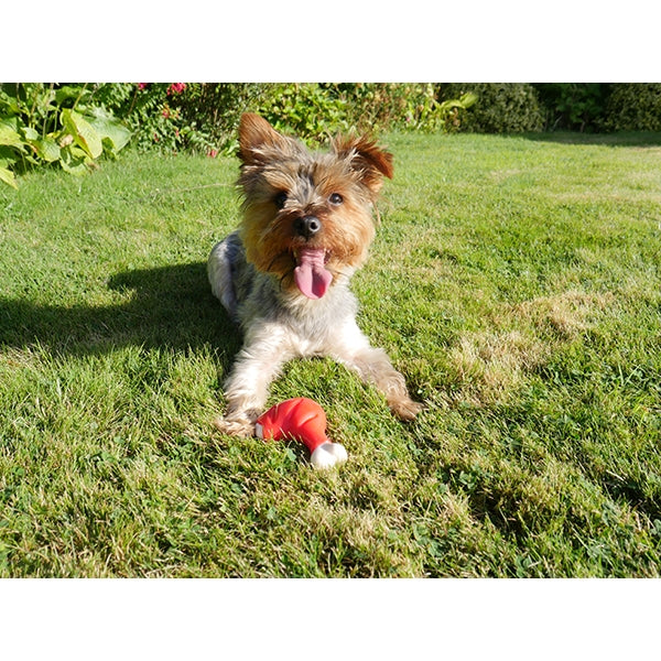 Meaty Chicken Takeaway Leg Dog Toy