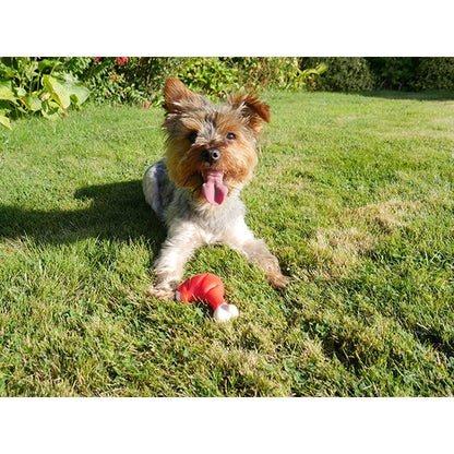 Meaty Chicken Takeaway Leg Dog Toy