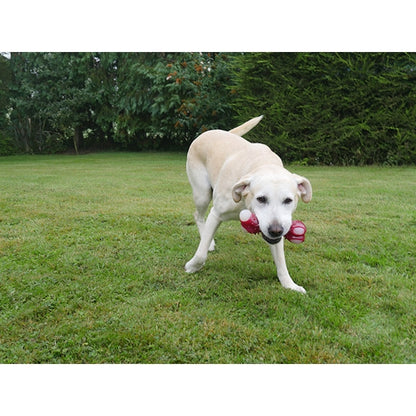 Meaty Bacon Takeaway Bone Dog Toy