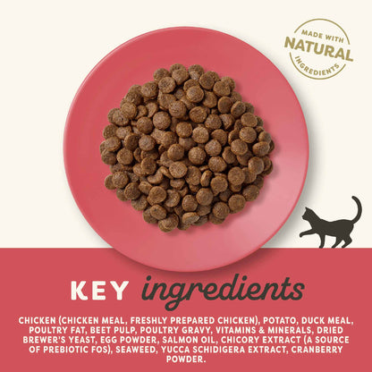Applaws Complete Grain Free Adult Dry Cat Food - Chicken with Duck