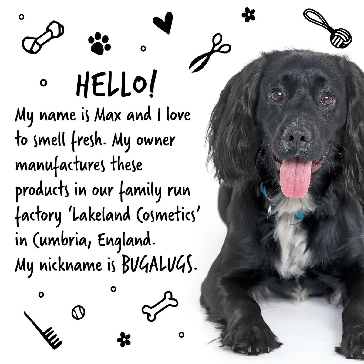 Bugalugs 4-in-1 Lavender & Chamomile Dog Shampoo