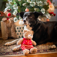 Rosewood Cupid & Comet Buddy Bear Christmas Plush Dog Toy
