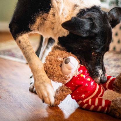 Rosewood Cupid & Comet Buddy Bear Christmas Plush Dog Toy