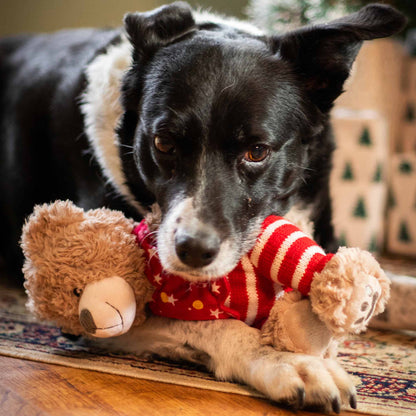 Rosewood Cupid & Comet Buddy Bear Christmas Plush Dog Toy