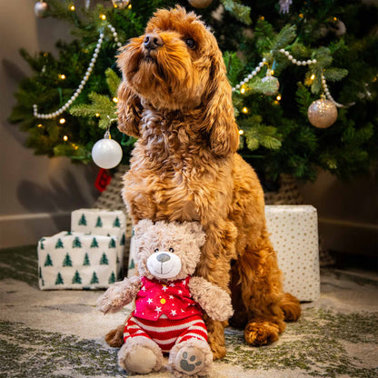 Rosewood Cupid & Comet Buddy Bear Christmas Plush Dog Toy