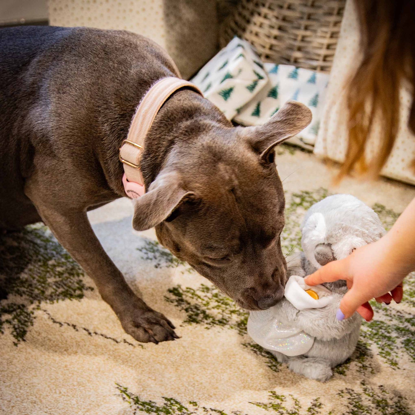 Rosewood Cupid & Comet Prancer Penguin Christmas Plush Dog Toy