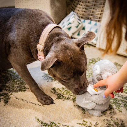 Rosewood Cupid & Comet Prancer Penguin Christmas Plush Dog Toy