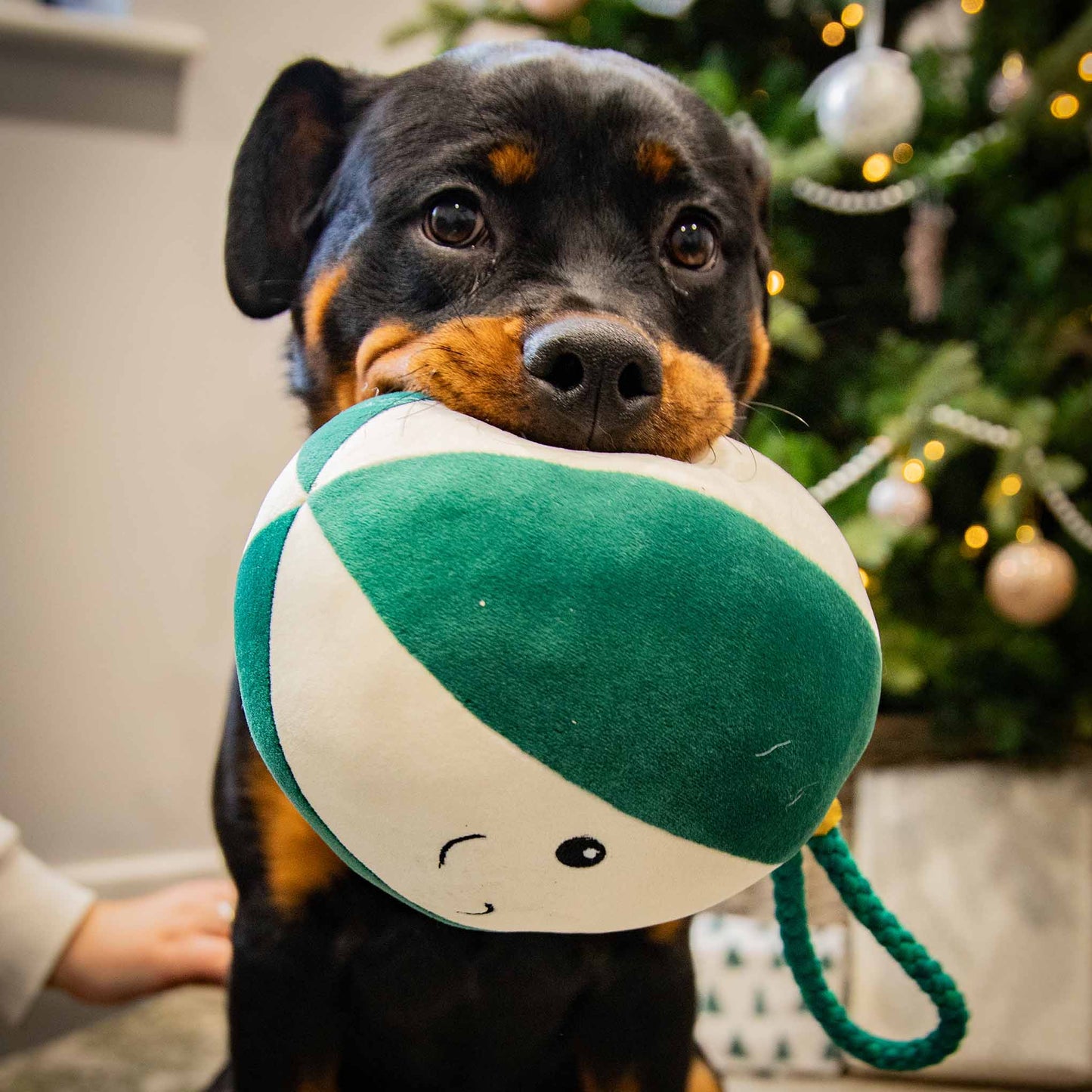 Rosewood Cupid & Comet Blitzen Bauble Extra-Large Festive Giggling Dog Toy