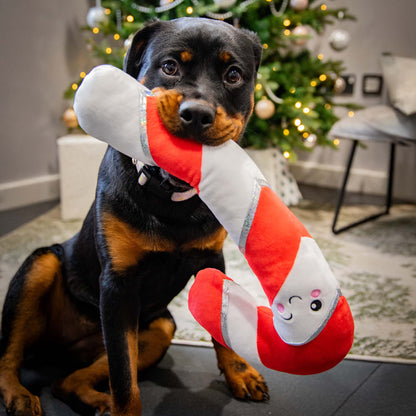Rosewood Cupid & Comet Candy Cane Christmas Dog Toy
