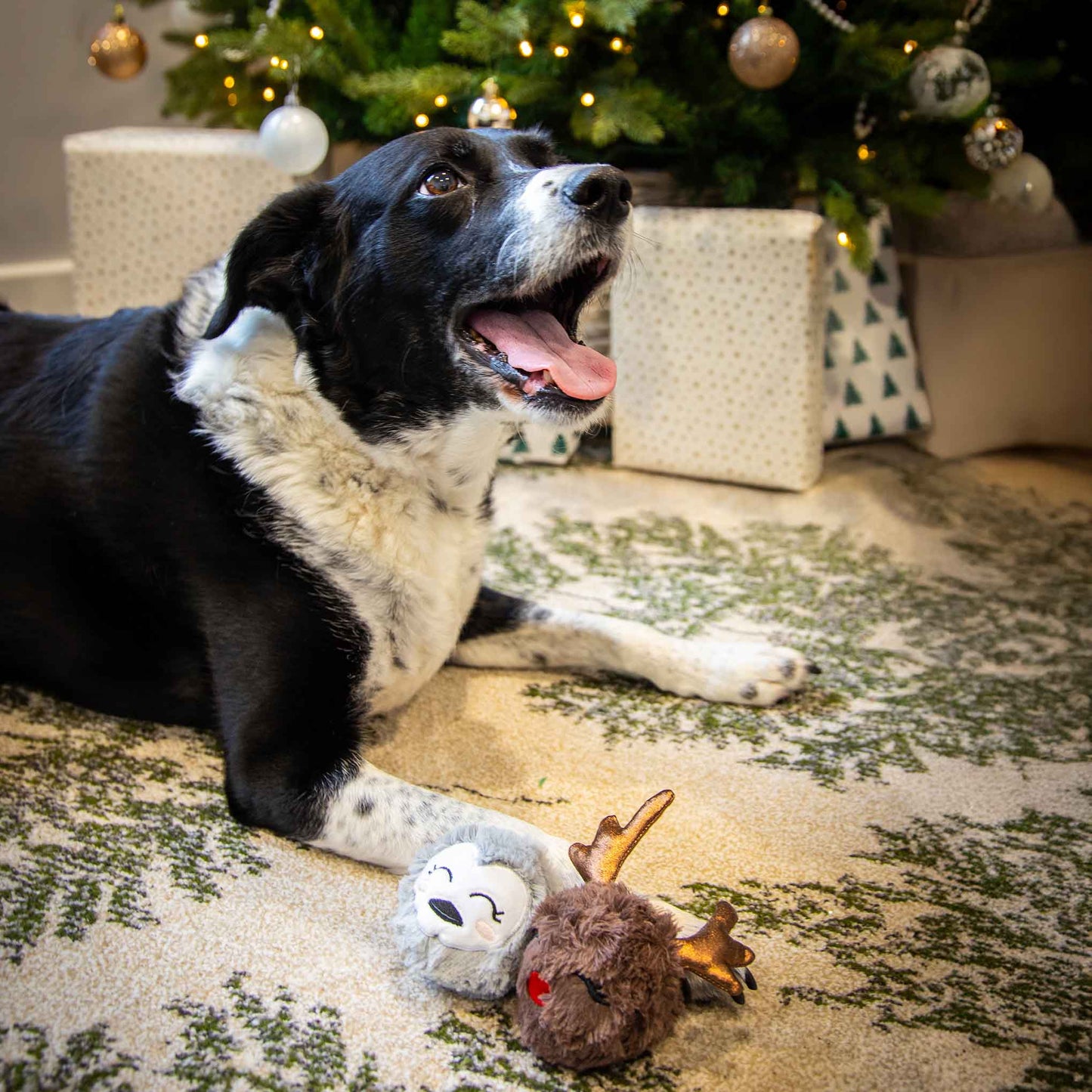 Rosewood Cupid & Comet Ralphie Reindeer and Parker Penguin Christmas Duo Dog Toys