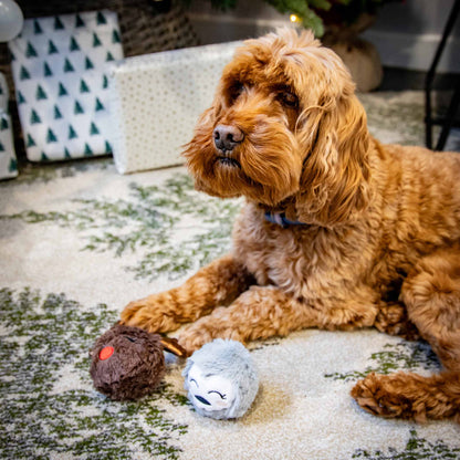 Rosewood Cupid & Comet Ralphie Reindeer and Parker Penguin Christmas Duo Dog Toys