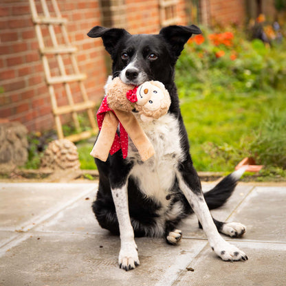 Rosewood Cupid & Comet Max Monkey Christmas Dog Toy