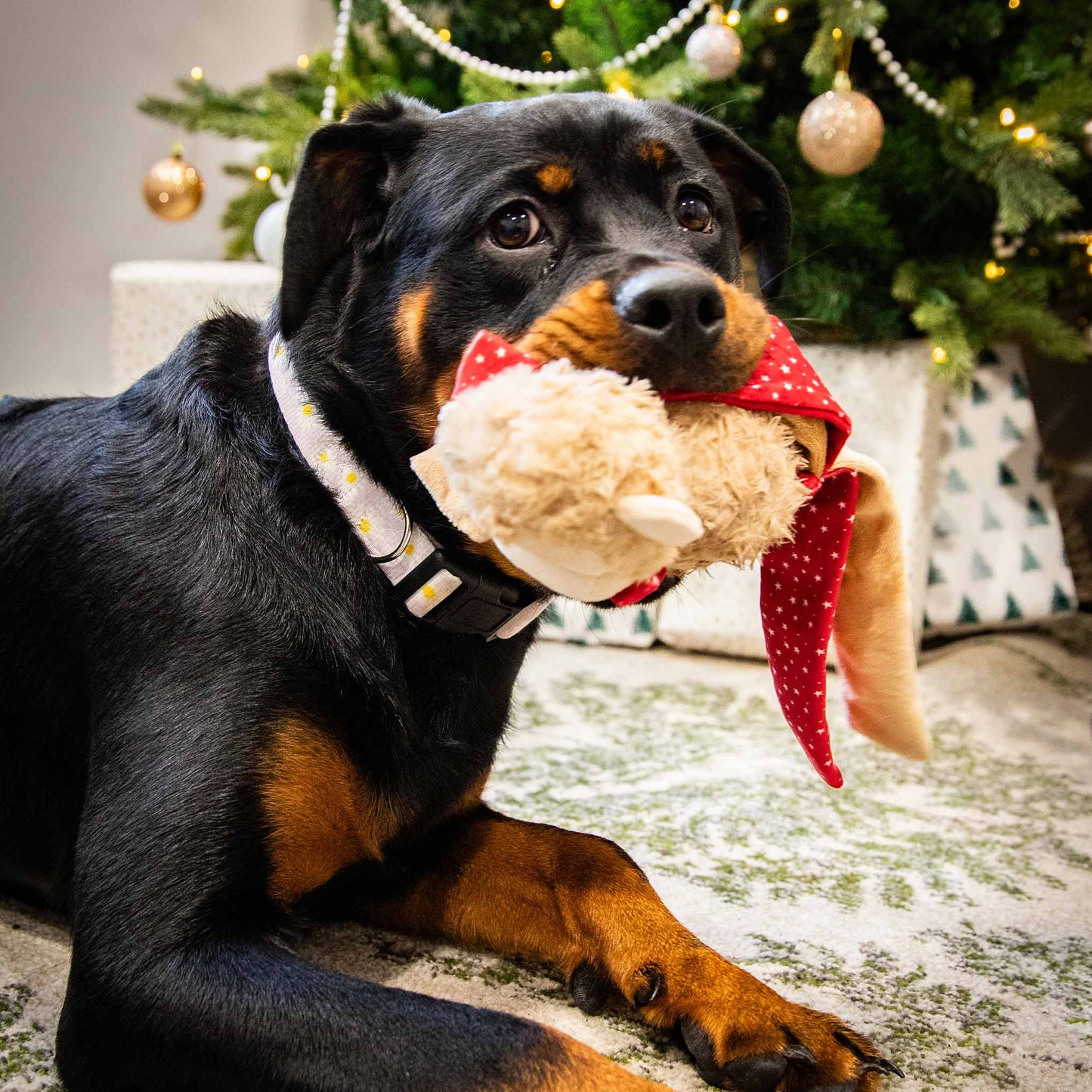 Rosewood Cupid & Comet Max Monkey Christmas Dog Toy