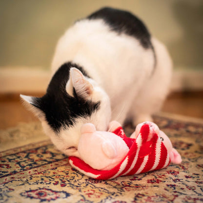 Rosewood Cupid & Comet Penny Pig In Blanket Dog Toy