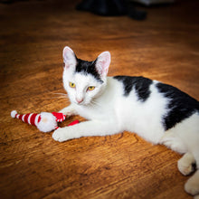 Rosewood Cupid & Comet Gus Gonk Cat Toy
